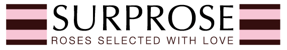 Surprose logo